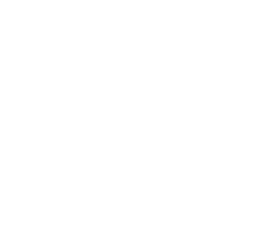 Canadian Tire